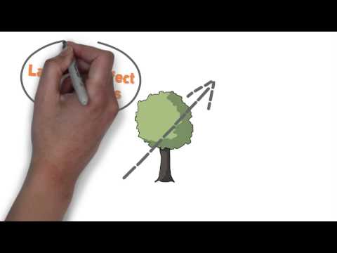 Understanding Environmental Regulations: Common Examples for Compliance