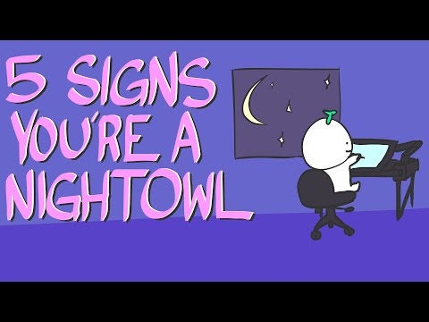 Understanding the Night Owl Ordinance: Regulations for Late-Night Activities
