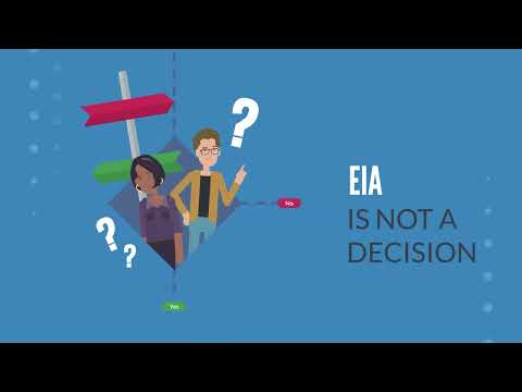 Understanding the Importance of Environmental Impact Assessments