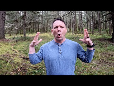 Everything you need to know about military ordinance