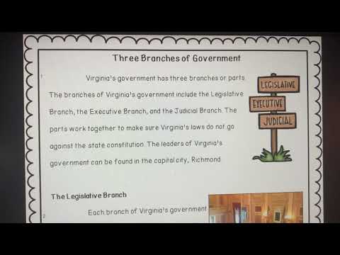 Understanding Virginia Government: Branch with Power to Declare Laws Unconstitutional