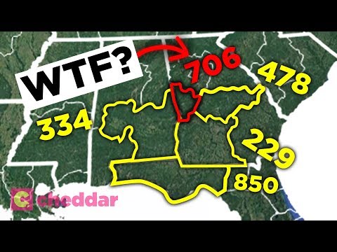 History of the Oldest Area Code in Florida: Uncovering the Origins of Florida's Area Codes