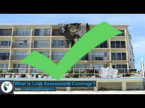 Understanding Loss Assessment Coverage Under Florida Law