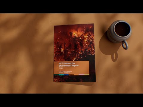 Understanding Section 17 of the Environment Act: Key Information and Implications