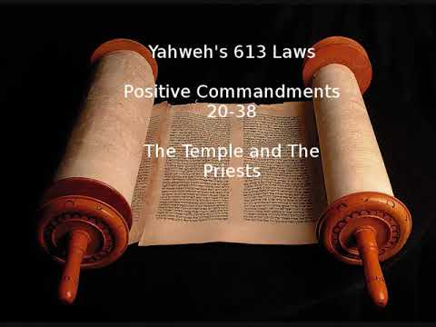 Understanding God's Laws: A Comprehensive Overview
