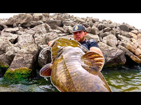 Understanding the legality of hand-fishing for fish in Kansas