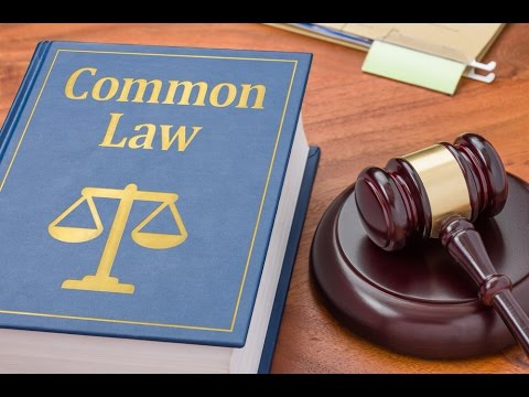 Understanding the Common Law System in England: Everything You Need to Know