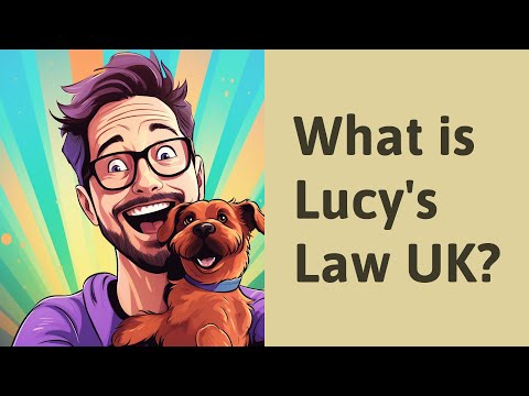 Understanding Lucy's Law in the UK