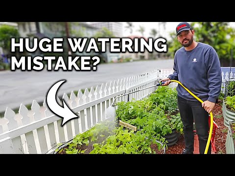 The Legality of Watering Your Garden: What You Need to Know