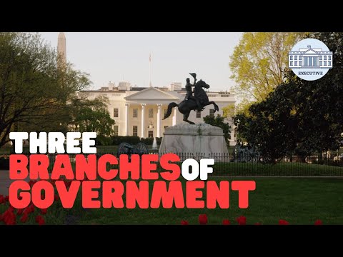 Understanding Executive Power Law: Everything You Need to Know