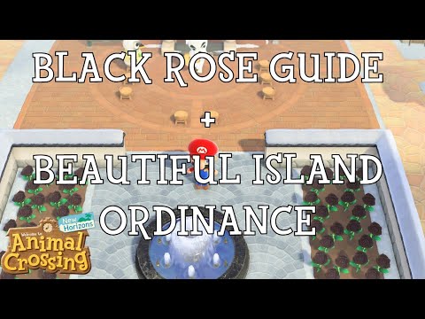 Exploring the Aesthetic Ordinance in Animal Crossing New Horizons