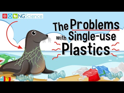 Understanding the Legal Implications of Not Recycling in the UK