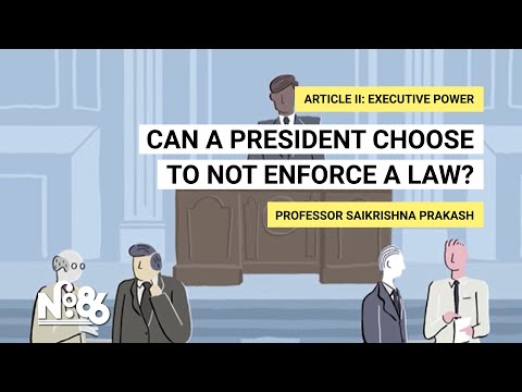 Can the President Legally Implement Regulations in Delhi?