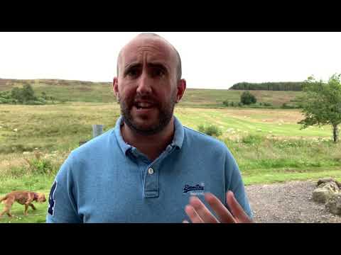 Understanding UK Tree Protection Law: Everything You Need to Know