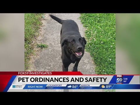 Understanding Nuisance Dog Laws in Missouri: Everything You Need to Know