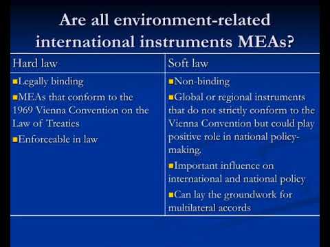 Understanding the Legal Binding Nature of Environmental Agreements