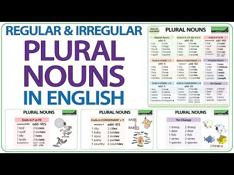 Plural Form of Ordinance: A Comprehensive Explanation