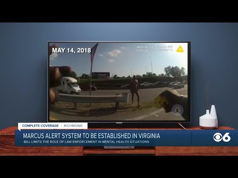 Enforcing the Laws of Virginia: Roles and Responsibilities
