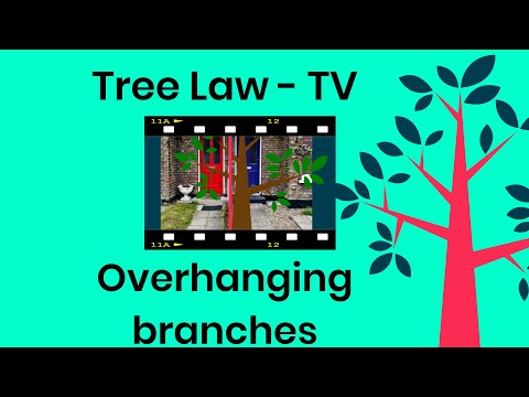 Understanding the legality of trimming overhanging branches on your property