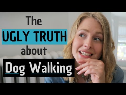Legal Limitations on Dog Walking: How Many Dogs can you Walk Legally?