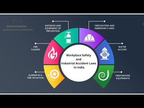 Understanding the Different Types of Law in India: A Comprehensive Overview