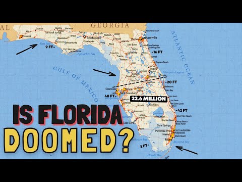 Largest Area Code in Florida: Everything You Need to Know