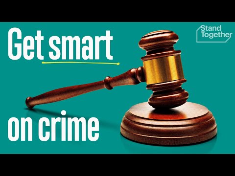 Examples of the Criminal Justice System: Key Insights and Analysis