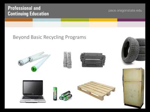 Understanding the Importance of a Recycling Policy in Business Operations