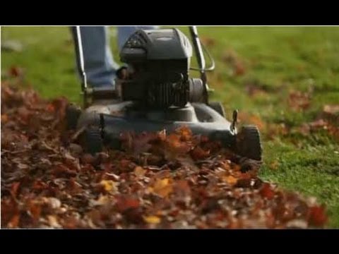 Using a Lawn Mower to Collect Leaves: What You Need to Know