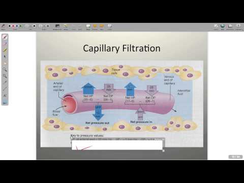 Understanding the Functionality of Water Regulation