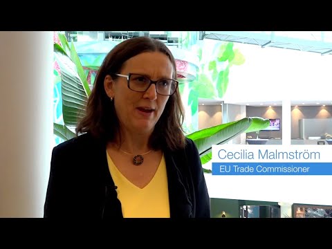Understanding the European Union CO2 Policy: Key Information and Implications for Businesses