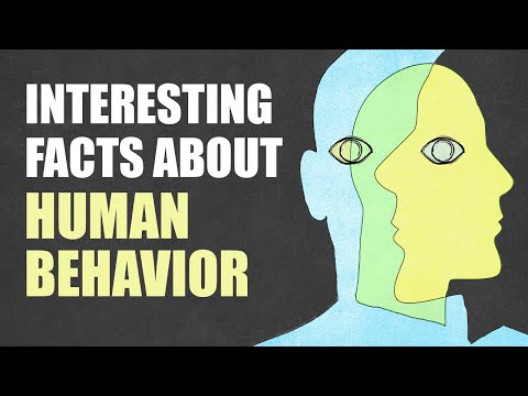 Insights into Legal Psychology: Law and Human Behavior Journal