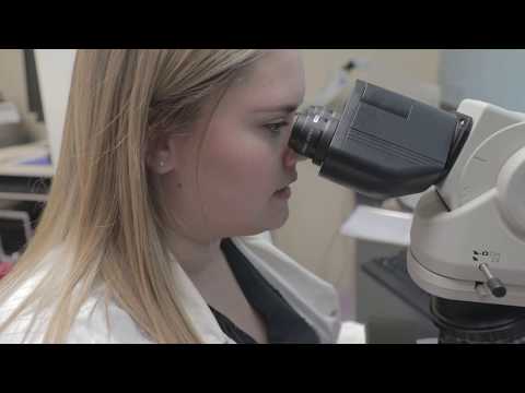 MDLab Org: A Comprehensive Resource for Medical Laboratory Information