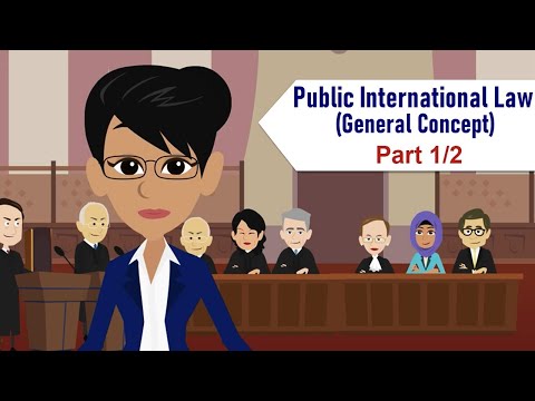 Understanding the Principles of Public International Law