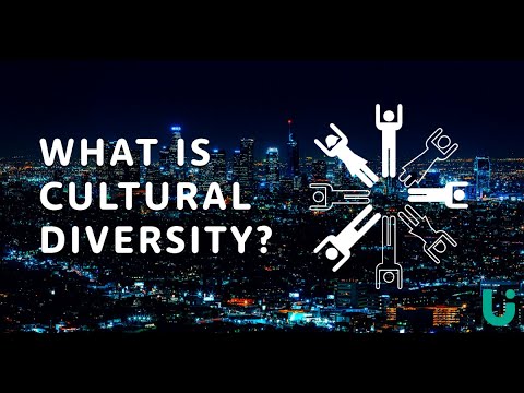 The Impact of Diversity in Social Settings: A Comprehensive Analysis