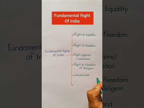The Fundamental Right to Free Assembly: A Comprehensive Overview