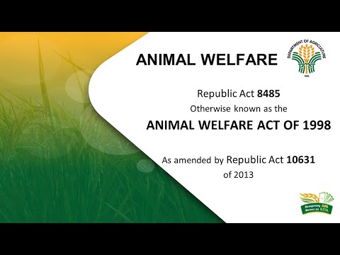 Understanding the nuances of Section 20 Animal Welfare Act