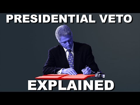 Understanding the Meaning of Vetoed Bills
