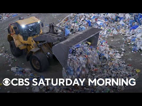Are Companies Required to Recycle by Law?