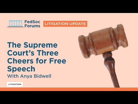 Key Insights on Supreme Court Rulings Regarding Freedom of Speech
