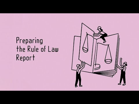 Comprehensive Analysis of the 2022 Rule of Law Report
