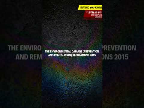Understanding Environmental Pollution Laws in the UK