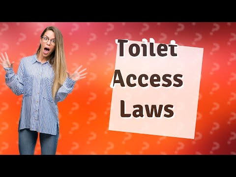 Toilet Legal Requirements in the Workplace: UK Regulations Explained