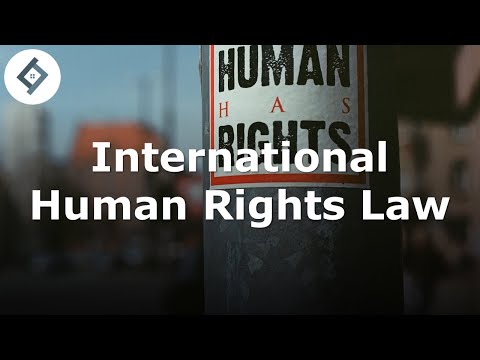Comprehensive Analysis of International Human Rights Law by Moeckli
