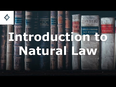 Understanding Natural Person Law: Key Concepts and Principles