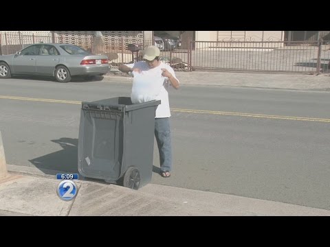 Is it legal to deposit trash in someone else's bin? A comprehensive analysis