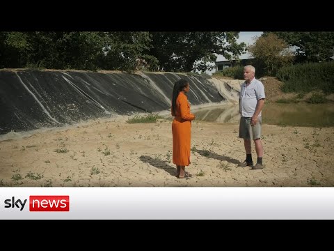 Understanding the Legality of Hosepipe Bans in the UK