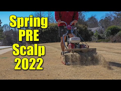 Proper Techniques for Lawn Scalping