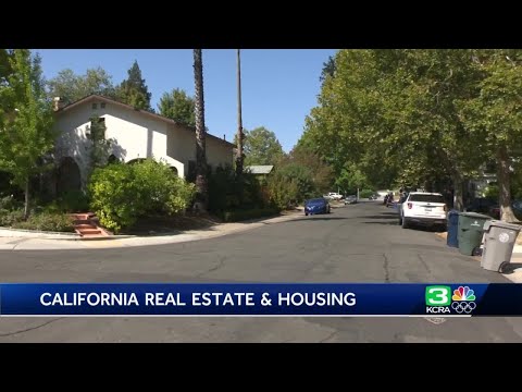 Understanding A1 Zoning Regulations in California