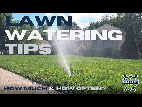 Optimal Lawn Watering Frequency: A Complete Guide